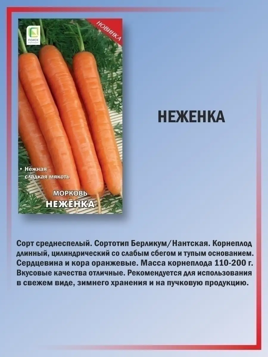 Набор семян сочной моркови раннеспелой Агрохолдинг Поиск 69389137 купить за  198 ₽ в интернет-магазине Wildberries