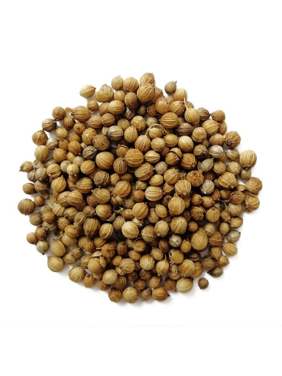 Кориандр цена. Кориандр семена (кинза) 1 кг. Кориандр плоды ГФ 14. Кориандровое семя. Семена кориандра для похудения.