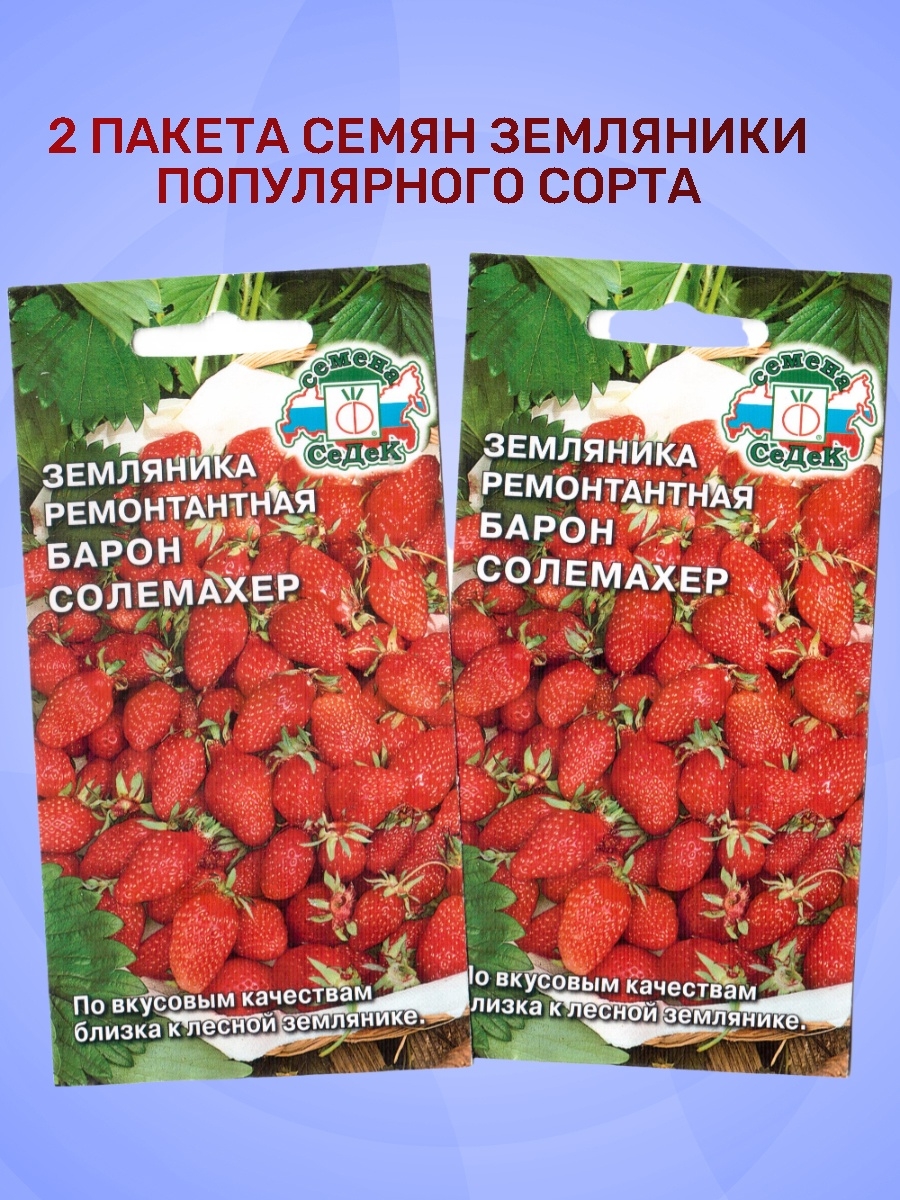 Томаты барон описание сорта фото отзывы. Барон Солемахер томат. Барон Солемахер описание. Земляника Барон Солемахер. Земляника Садовая Барон Солемахер.