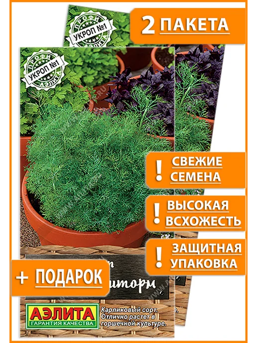 Семена укроп для сада дачи посадки, вариант