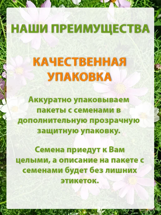 Семена укроп для сада дачи посадки, вариант, фото 5