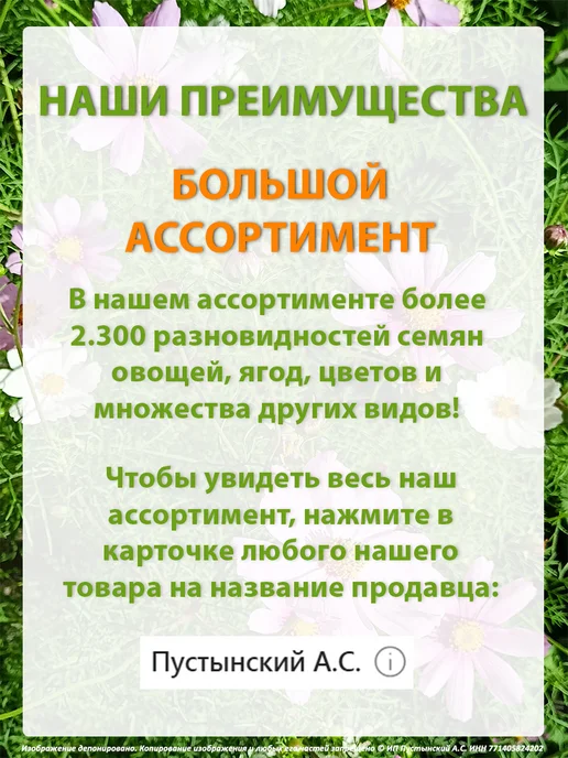 Семена укроп для сада дачи посадки, вариант, фото 6