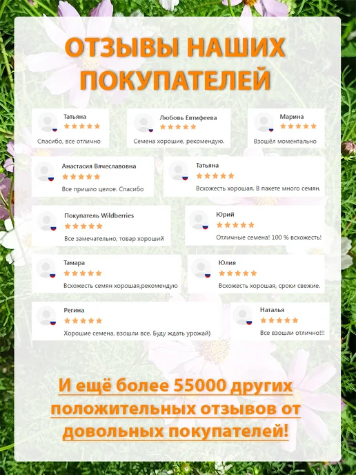 Семена укроп для сада дачи посадки, вариант, фото 7