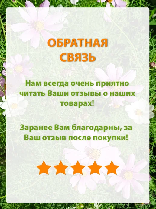 Семена укроп для сада дачи посадки, вариант, фото 8