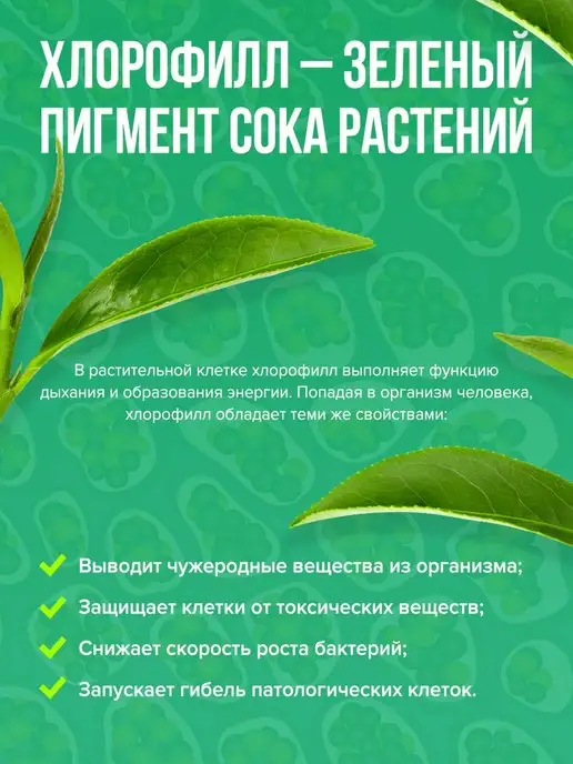 Popeye Supplements Концентрат Жидкий хлорофилл 500 мл, 500 мл, фото 3