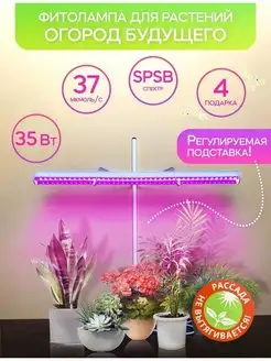 Фитолампа для растений Фитолампа для рассады 35 Вт SPSB розовое свечение 70024671 купить за 3 181 ₽ в интернет-магазине Wildberries