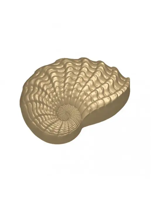 AnyMolds Морская раковина форма для мыла, белый, фото 6