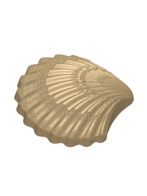 AnyMolds Ракушка Сердцевидка форма для мыла, белый, фото 6