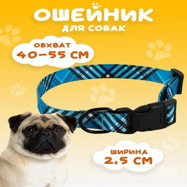 Ошейник для собак мелких пород