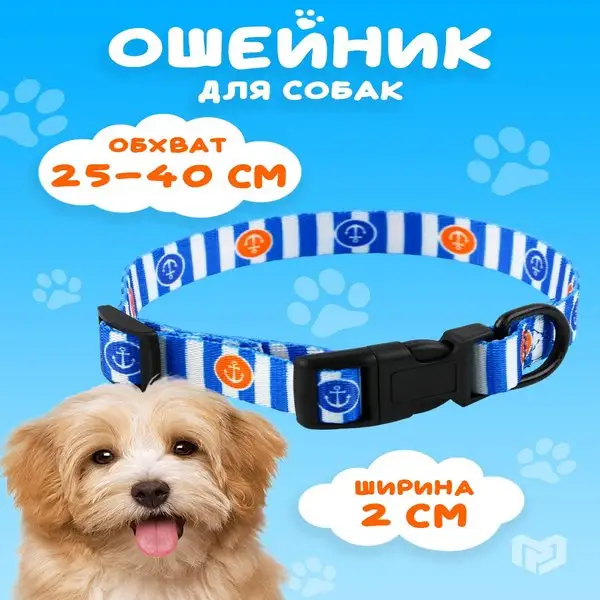 Ошейник для собак средних и мелких пород