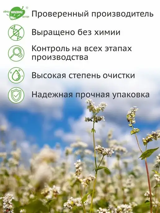 Образ жизни Алтая Гречка коричневая алтайская пропаренная ядрица, 5 кг, 5 кг, фото 5