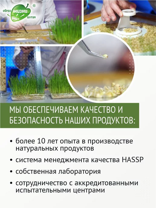 Образ жизни Алтая Гречка коричневая алтайская пропаренная ядрица, 5 кг, 5 кг, фото 8