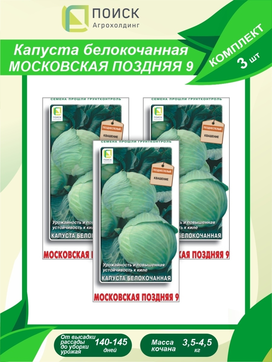 Капуста московская поздняя описание сорта отзывы. Капуста белокочанная Московская поздняя 9. Капуста Московская поздняя. Московская поздняя капуста отзывы. Капуста Московская поздняя описание.