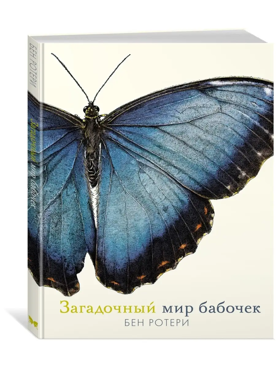 Загадочный мир бабочек Издательство Махаон 70163065 купить за 1 000 ₽ в  интернет-магазине Wildberries