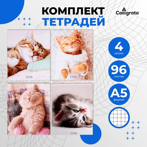Комплект тетрадей из 4 штук 96 листов в клетку