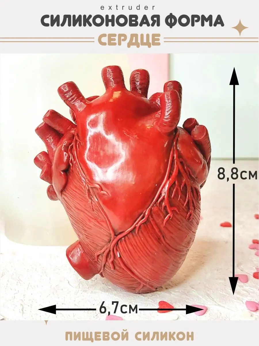 Силиконовый молд Сердце анатомическое EXTRUDER 70234386 купить за 599 ₽ в  интернет-магазине Wildberries