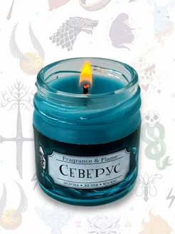 Северус ароматическая свеча - Гарри Поттер Fragrance & Flame 70297251 купить за 358 ₽ в интернет-магазине Wildberries