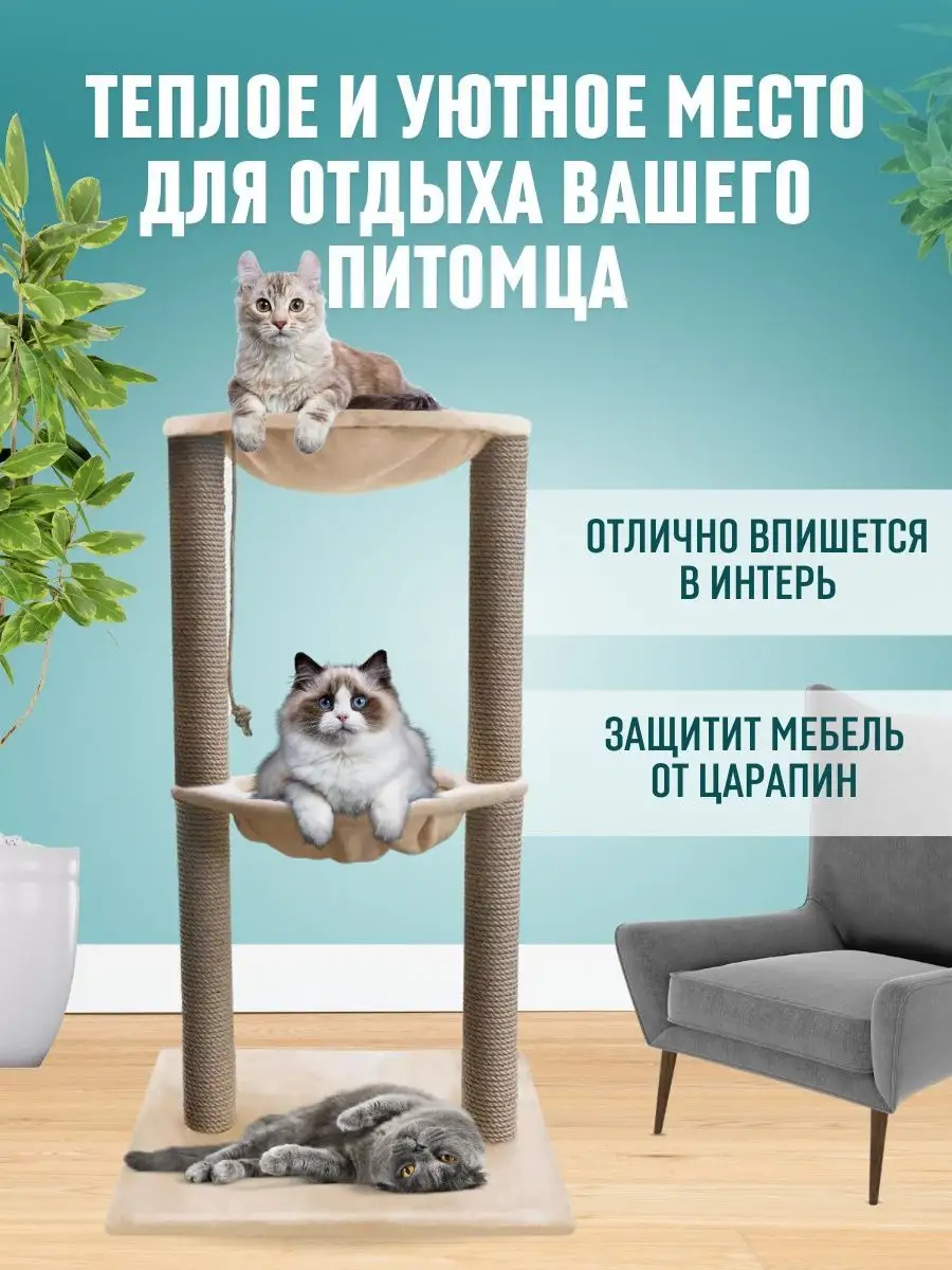 Домик для кошек на улице