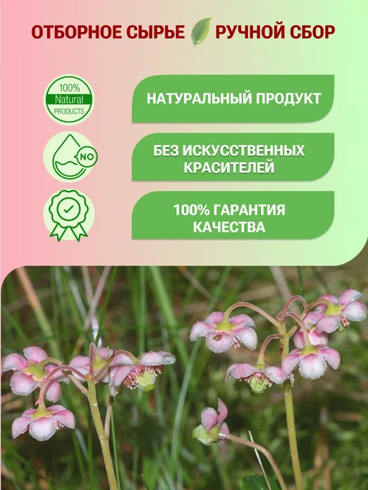 Секреты Алтая Травяной сбор чай Пырей ползучий корень, вариант, фото 2