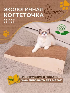 Когтеточка из картона не большая картонная для котят ФРОСЯ 70467188 купить за 790 ₽ в интернет-магазине Wildberries