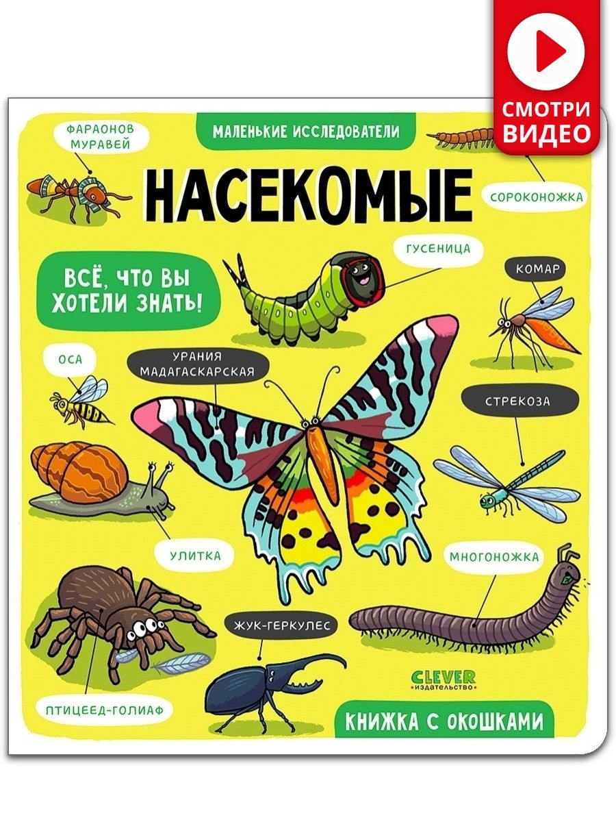 Книга с окошками. Насекомые / Энциклопедия для детей 4-6 лет Издательство  CLEVER 70476381 купить в интернет-магазине Wildberries