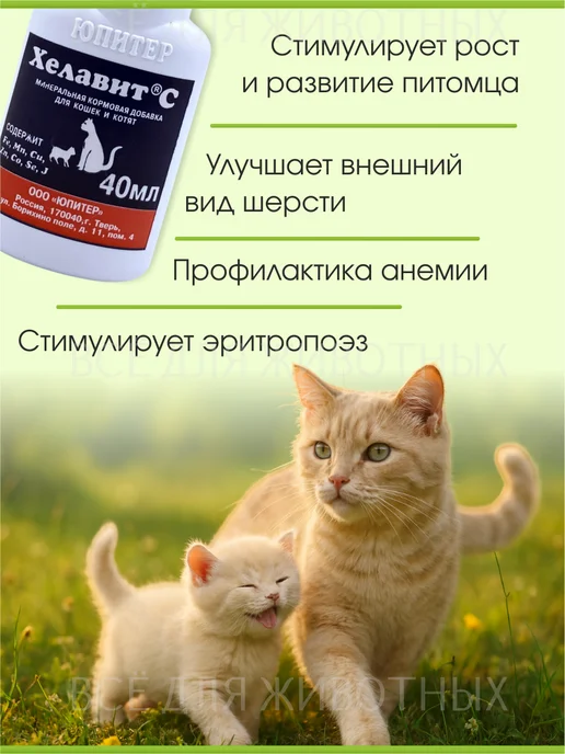 Хелавит С Витамины для кошек для улучшения шерсти Микроэлементы Хелави…, 40 мл, фото 3