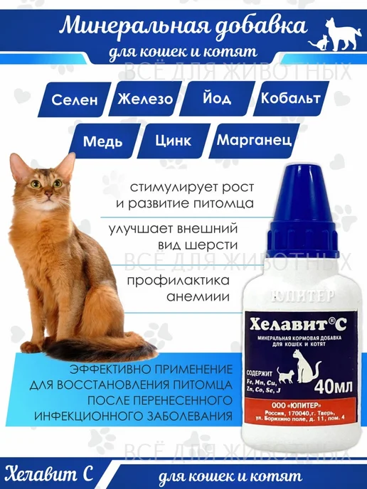 Хелавит С Витамины для кошек для улучшения шерсти Микроэлементы Хелави…, 40 мл, фото 8
