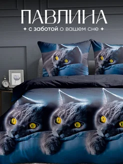 Постельное белье 1.5 спальное наволочки 70х70 см Павлина 70545839 купить за 987 ₽ в интернет-магазине Wildberries