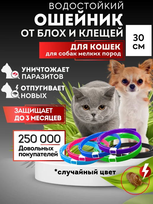 Wildberries — интернет-магазин модной одежды, обуви и аксессуаров