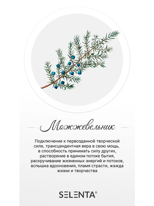 Selenta Эфирное масло Можжевельника 100% 10мл, 10 мл, фото 2