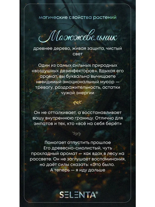 Selenta Эфирное масло Можжевельника 100% 10мл, 10 мл, фото 4