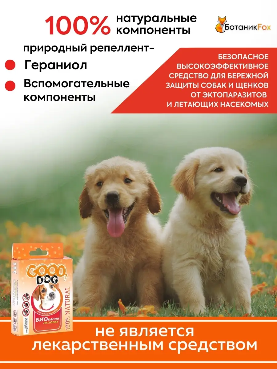 Купить защитный воротник для кошек и собак по выгодной цене в Новосибирске