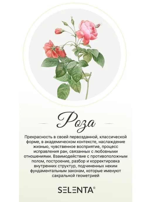Selenta Эфирное масло Розы 100% 30мл, 30 мл, фото 7