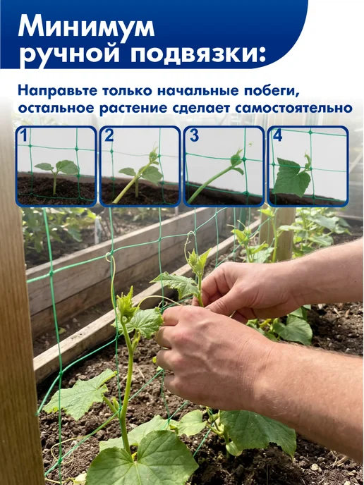 ПРОТЭКТ Сетка шпалерная для огурцов садовая 2*10 м, 2x10 м, фото 3