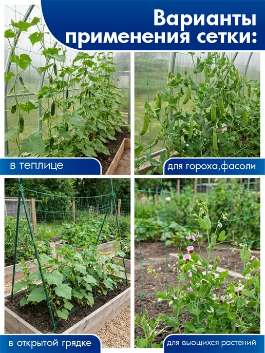ПРОТЭКТ Сетка шпалерная для огурцов садовая 2*10 м, 2x10 м, фото 5