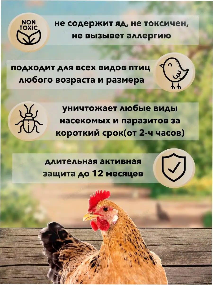 Пухопероеды (маллофагозы птиц): причины, симптомы и лечение | компания NITA-FARM