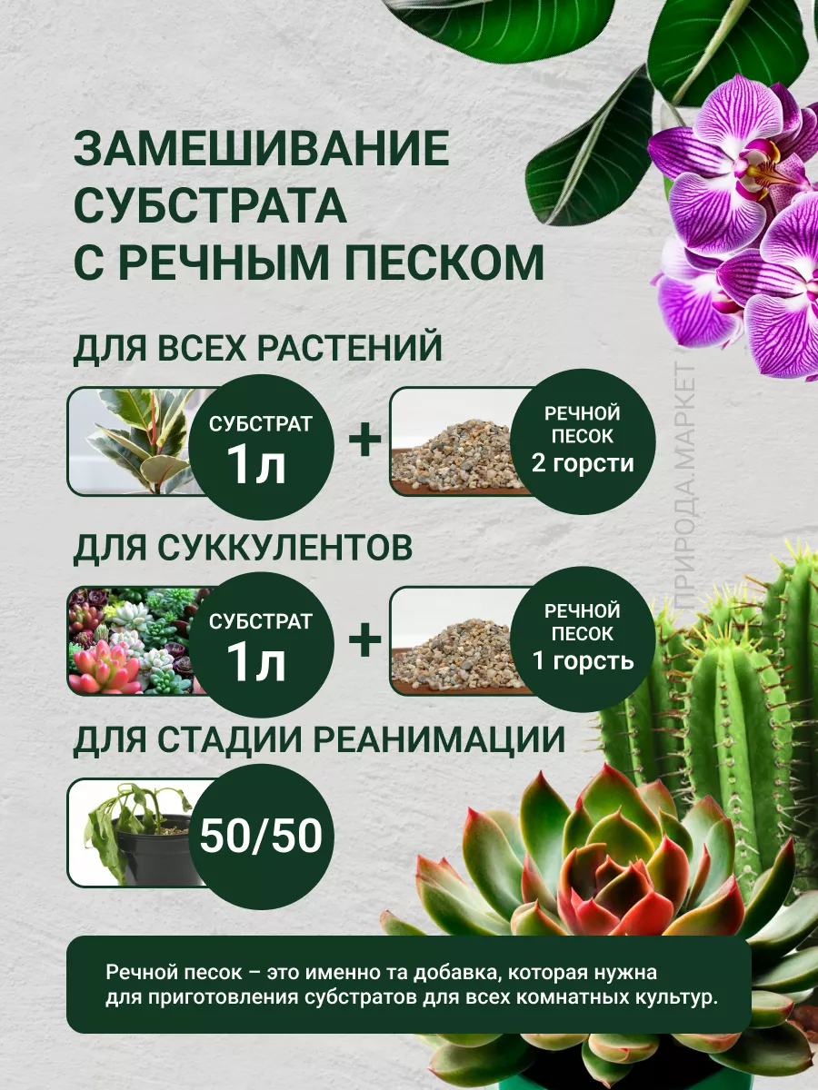 Речной песок (фракция 2,5-5,0) 2 кг Рецепты дедушки Никиты 70714201 купить  в интернет-магазине Wildberries