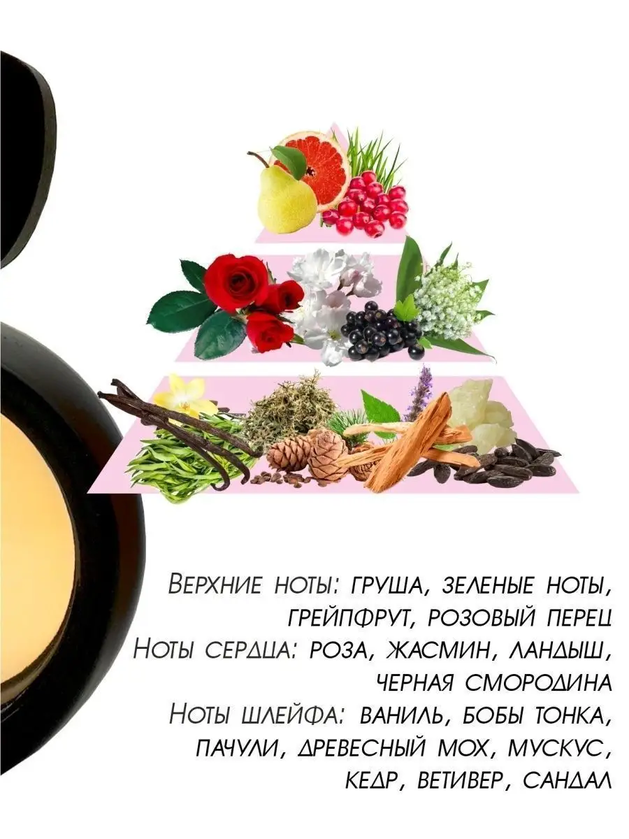 Туалетная вода женская YOUR Look Parli Parfum 70732891 купить за 749 ₽ в  интернет-магазине Wildberries