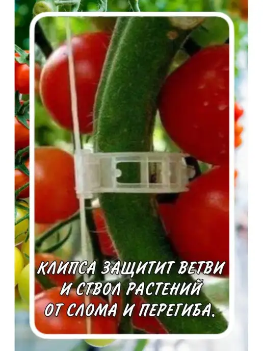 ПОДВЯЗКИ ДЛЯ РАСТЕНИЙ Клипсы для растений, белый, фото 3