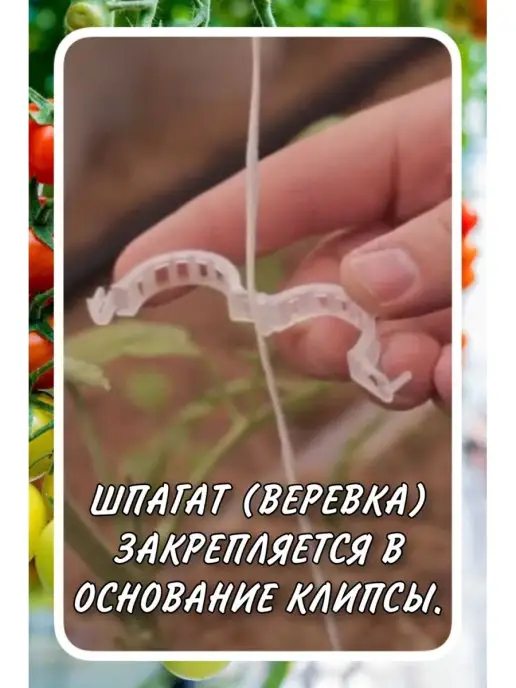 ПОДВЯЗКИ ДЛЯ РАСТЕНИЙ Клипсы для растений, белый, фото 4