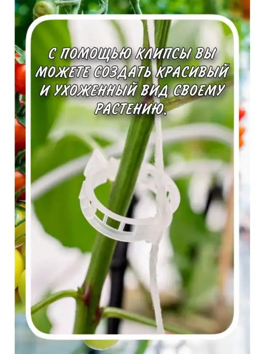 ПОДВЯЗКИ ДЛЯ РАСТЕНИЙ Клипсы для растений, белый, фото 5