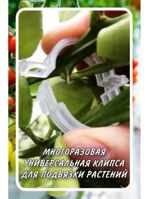 ПОДВЯЗКИ ДЛЯ РАСТЕНИЙ Клипсы для растений, белый, фото 6
