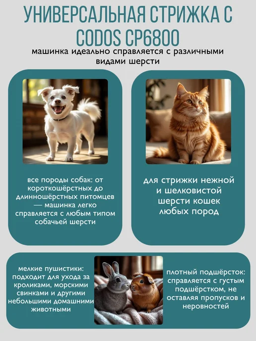 CODOS Машинка для стрижки животных СР 6800 триммер для собак, вариант, фото 3