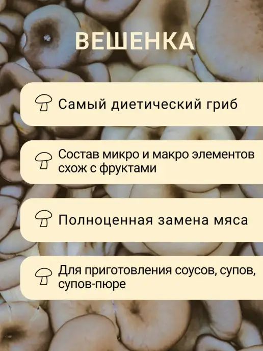 KaDaMa Nature Вешенки сушеные грибы, вариант, фото 3