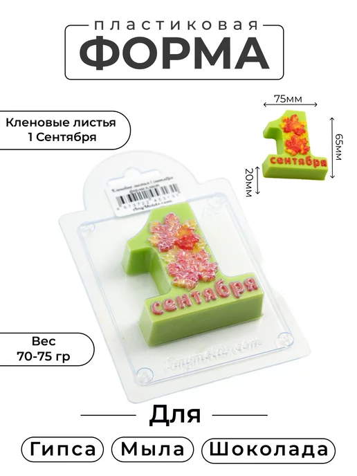 AnyMolds Кленовый лист 1 сентября форма для мыла