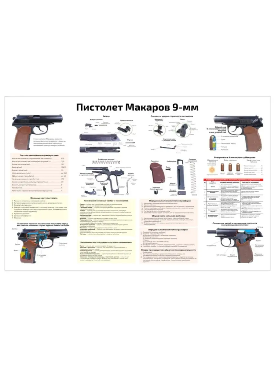 Пистолет Макаров развивающий и обучающий плакат 45х61см Квинг 71225464  купить за 462 ₽ в интернет-магазине Wildberries