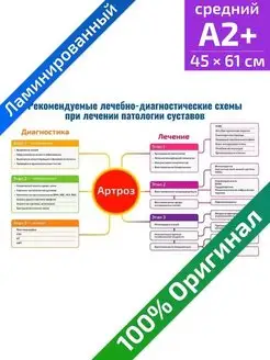 Артроз медицинский плакат 45х61см Квинг 71239314 купить за 555 ₽ в интернет-магазине Wildberries