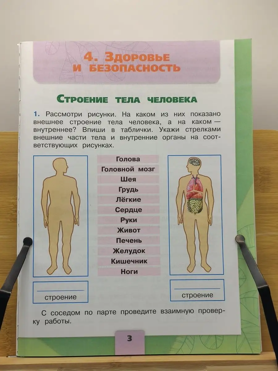 Плешаков. Окружающий мир. Рабочая тетрадь. 2 класс. Ч. 2 Просвещение  71614965 купить в интернет-магазине Wildberries