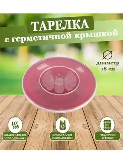 Тарелка с герметичной крышкой SABURG 71640892 купить за 259 ₽ в интернет-магазине Wildberries