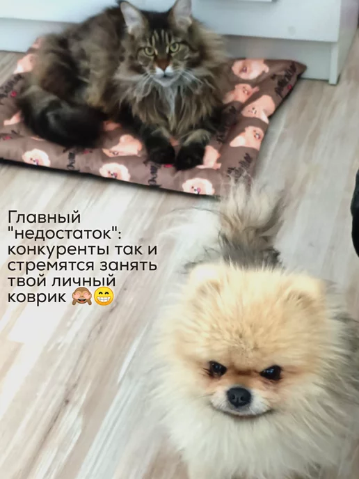 OTANUKI Лежанка для собак и кошек, желтый, фото 8